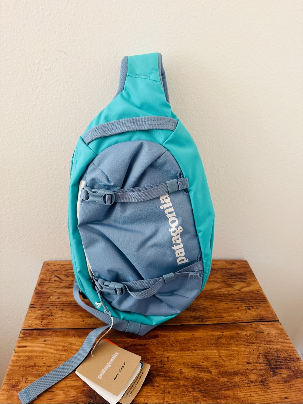 NWT Patagonia Atom Sling 8L Crossbody Pack Mini Backpack - Fresh Teal